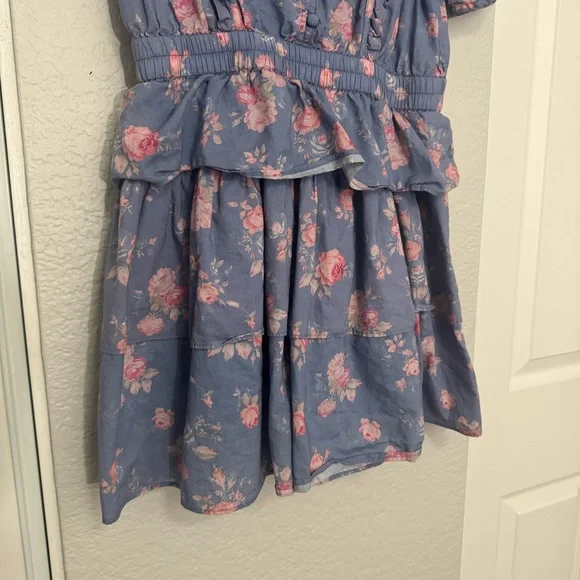 LoveShackFancy • Roth Mini Dress • Blue Floral Print • Medium - Picture 5 of 13